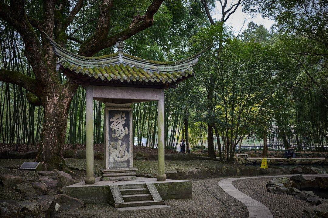 带孩子读园林 · 亲子两日实景