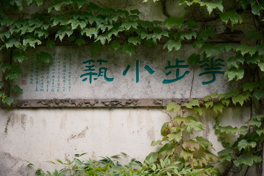 春花、梅雨、桂香与冬园：苏州四季配图